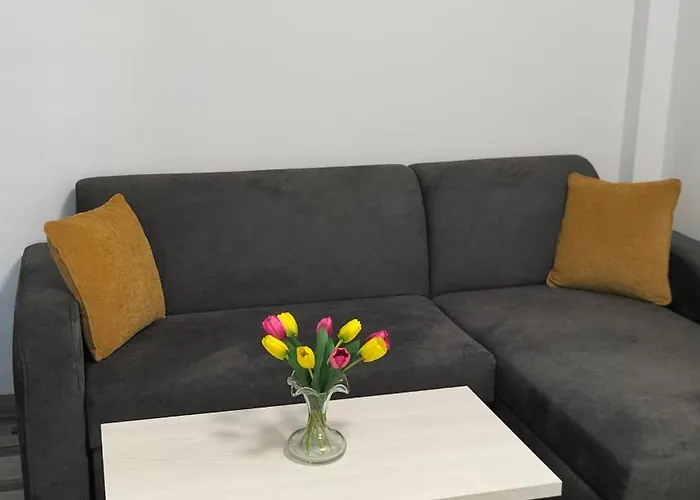 Apartment Mamaia Nord Petra *